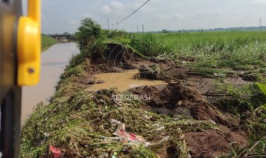 BPBD Kabupaten Kediri Catat Dalam Sehari 15 Titik Tanggul Jebol, 4 Desa Terdampak Banjir