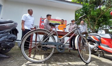 Beraksi 4 Kali, Motif Pencuri Motor di Ringinrejo Karena Ekonomi