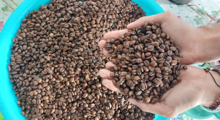 Jadi Komoditas Unggulan, Kopi di Kediri Bakal Jadi Oleh-Oleh Khas