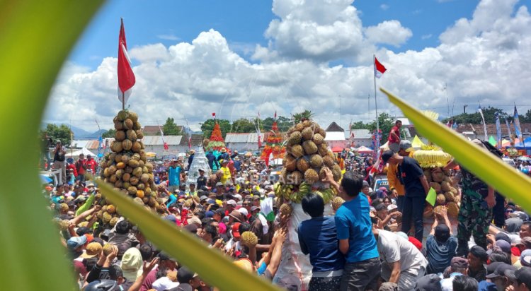 Ribuan Warga Serbu Tumpeng Raksasa Durian di Sedekah Bumi Pulud Ketan