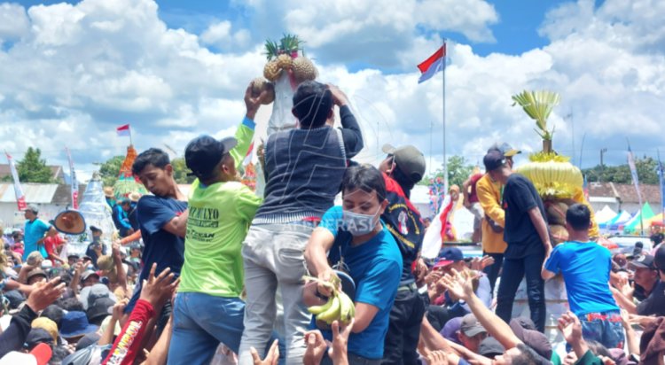 Ribuan Warga Serbu Tumpeng Raksasa Durian di Sedekah Bumi Pulud Ketan
