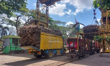 Capai 4 Juta Kwintal, PG Ngadirejo Optimalkan Pasokan Petani Tebu Lokal